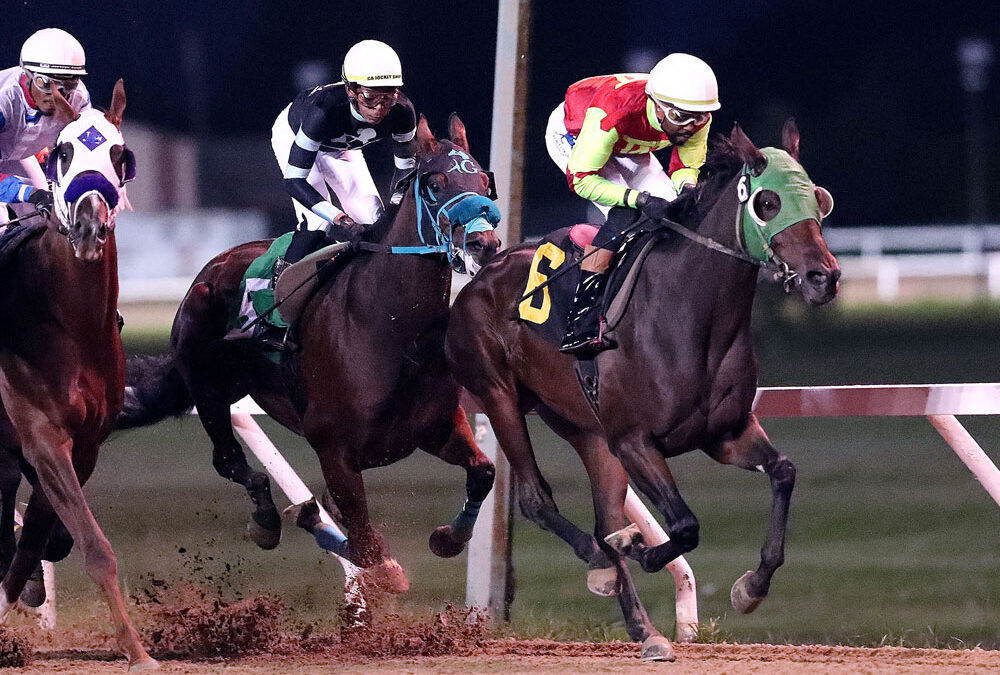 Top-5 Manitoba-Bred Earners of 2025. Bright Futures Ahead!