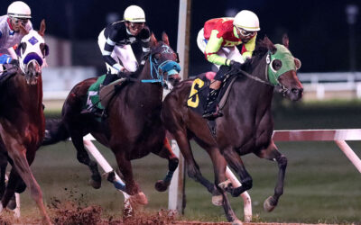 Top-5 Manitoba-Bred Earners of 2025. Bright Futures Ahead!