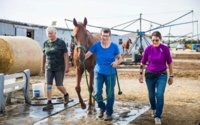 Remembering Donna Johnston