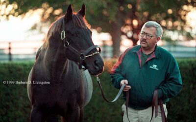 The Best Horses I Ever Met
