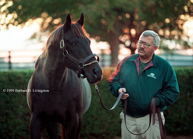 The Best Horses I Ever Met