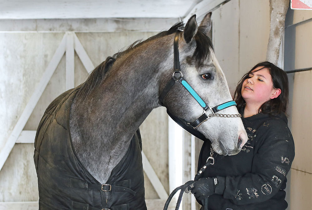 Explore a Career as a Racehorse Groom!