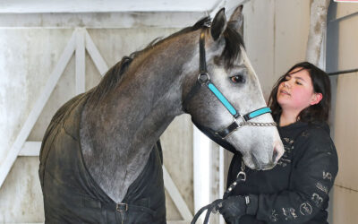 Explore a Career as a Racehorse Groom!