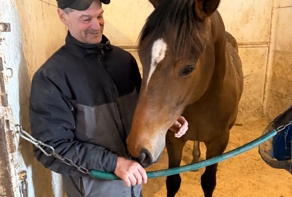 Nault Rolling Toward Another Big Season at the Downs