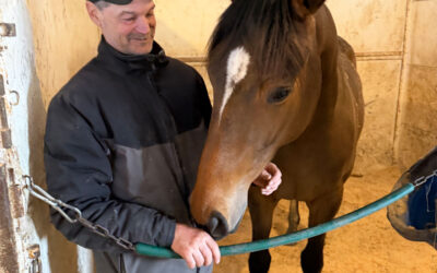 Nault Rolling Toward Another Big Season at the Downs