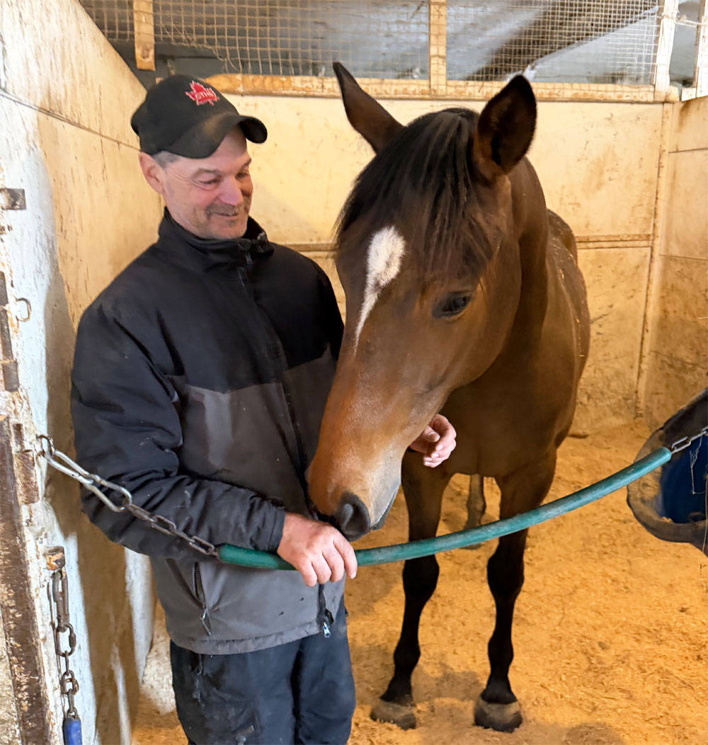 MikeNaultwithThick1k Mike Nault with Thick, a purchase from the Ontario Yearling Sale last year. (George Williams)