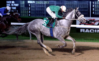 Jason Homer Showcases Exceptional Talent, Prime Suspect Romps Again