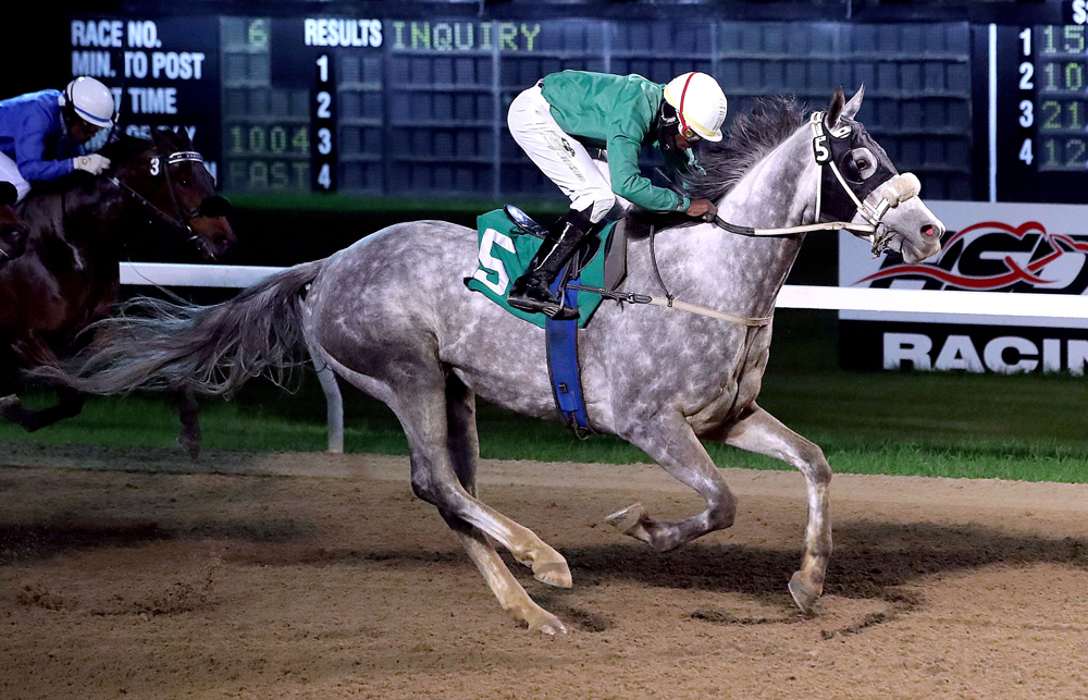 Jason Homer Showcases Exceptional Talent, Prime Suspect Romps Again