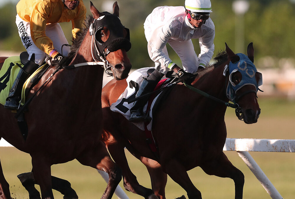 Trainer Brian Phillips Pulls 39-1 Upset, Triggers Lucrative Pick 3 Payoffs, Khelawan, Knights Score Hat Tricks