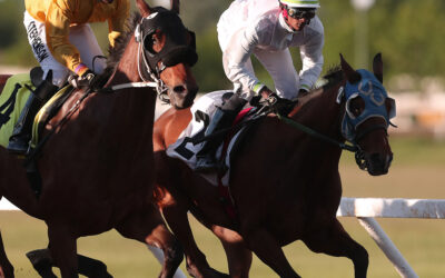 Trainer Brian Phillips Pulls 39-1 Upset, Triggers Lucrative Pick 3 Payoffs, Khelawan, Knights Score Hat Tricks