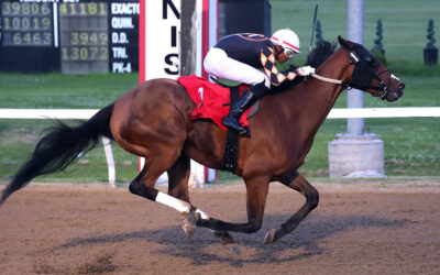 Stakes-Packed Week at Downs, Wiener Dog Races a Huge Hit with Fans