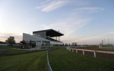 Assiniboia Downs: Last Man Standing